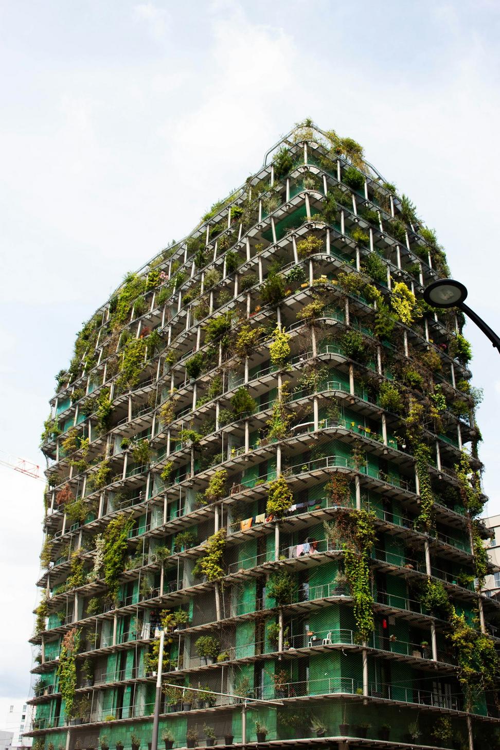 Sustainability Consulting